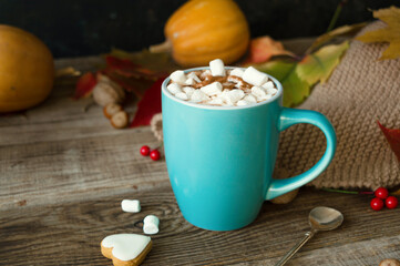 Hot cocoa with marshmallows in a blue ceramic mug with autumn leaves and pumpkins on a wooden table. The concept of hygge, cozy autumn, Thanksgiving, fall. Hot drinks.Autumn Still Life