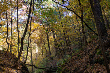 Obraz premium Autumn in Starved Rock State Park, a wilderness area on the Illinois River in the U.S. state of Illinois. Back to Nature concept.