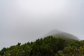 利尻富士　風景