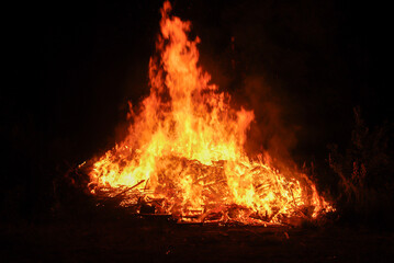 Fototapeta premium fire burns at night outdoors, large burning wood fire with flames in motion blur on black