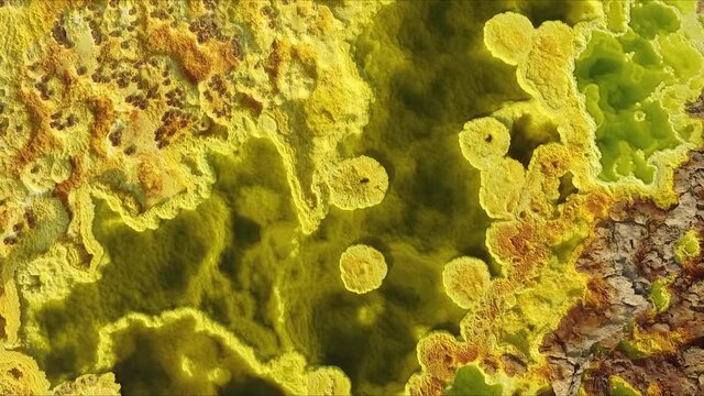 Ethiopia. Dallol Lake. The colorful landscape of Dallol lake in Crater of Dallol Volcano. Lake Dallol with its sulphur springs is the hottest place on the Earth.