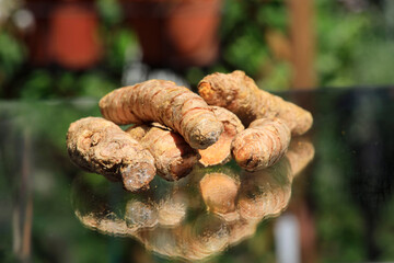 Turmeric powder (Kurkuma) in a wooden spoon and roots