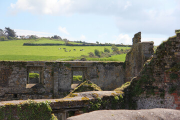 Ruins of a house and green field with cows grazing in the background