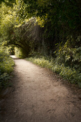 Senda en la naturaleza