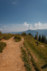 Die letzten Meter zum Gipfelkreuz am Steineberg auf der Nagelfluhkette in den Allgäuer Alpen