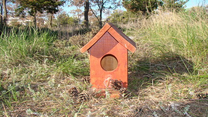 Fototapeta na wymiar Bird house Bird house, Birdhouse Sparrow's house on land in the park. Birds, animal, animals, wildlife, wild nature, garden