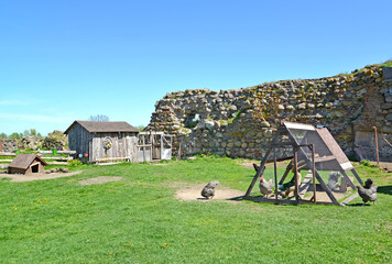 Utility farm on the territory of Shaaken Castle. Kaliningrad region © vodolej