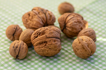 Walnuts on table-cloth in hard nutshells, group of dry ripened fruits, crop food ingredients ready for cooking