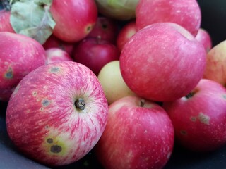 Red ripe apples lie in a basket