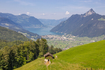 Fototapeta na wymiar mountain meadow in Switzerland on a sunny day