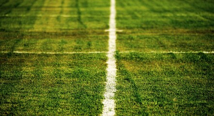 Soccer Field with green grass, sport theme