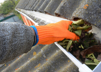 A home owner in protective gloves is cleaning the clogged roof gutter by taking away fallen leaves,...