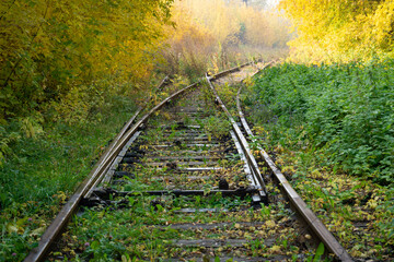 The rails of an abandoned railway are overgrown with grass. Railway track fork. The rails go into the misty autumn forest. Summer turns into autumn, green turns into yellow.