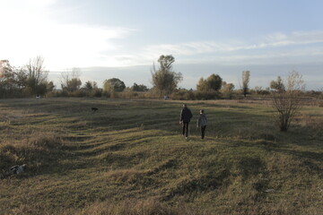 walking in the field