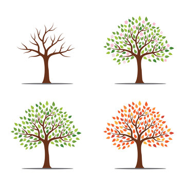Tree in four seasons - spring, summer, autumn, winter. Isolated on white background. Abstract image. Flat style, vector illustration.