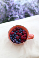 Cup with raspberries and blueberries in a garden. Selective focus.
