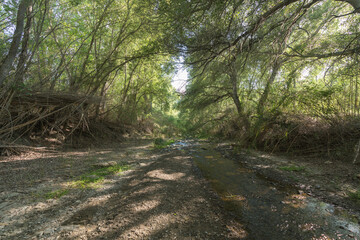 crystal clear water flowing down a river in southern Spain