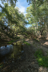Crystal clear water flowing down a river in southern Spain