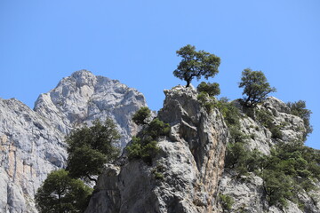 Castilla y León. León. Caín. El Cares. “Un río atraviesa la roca no por su poder sino por su persistencia”. Jim Watkins. 
