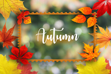 Autumn leaves © emily