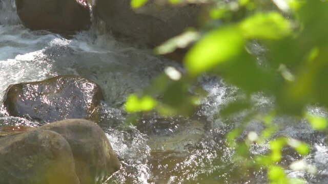 waterfall in the forest