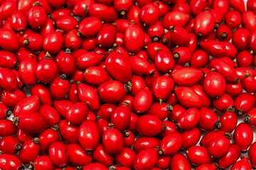 Top view of freshly picked 
 red rosehip fruit