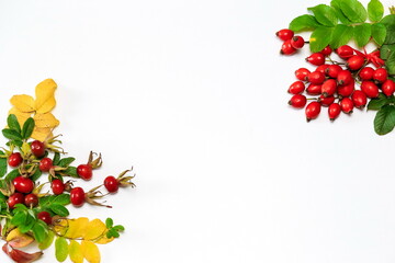 ripe fresh rosehip berries with green and yellow leaves on a white background, space for text