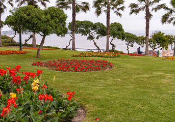 Miraflores, Peru - December 4, 2008: Parque del Amor, Section of green lawn with mostly red flowers and a handful of green trees with Pacific Ocean as backdrop. 