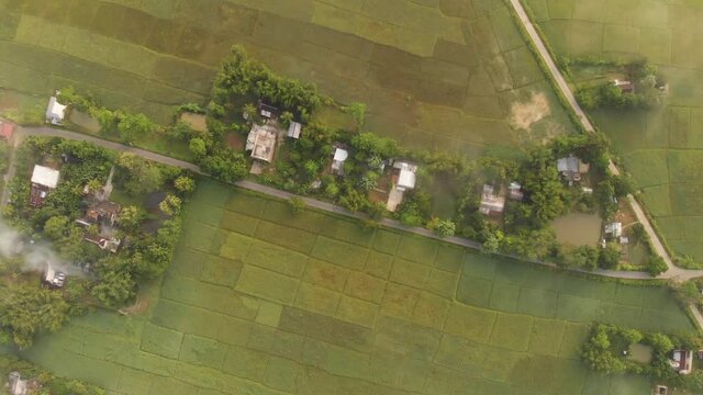 Birds eye view of village surrounded by green paddy fields in Assam, India.