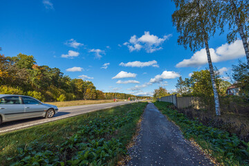 Obraz premium Beautiful autumn landscape view. Asphalt road on yellowed trees and blue sky white white clouds background. 
