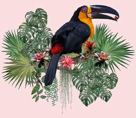 Polygonal Illustration Toucan bird.