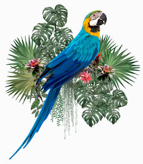 Polygonal Illustration Blue & gold macaw.