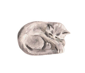 Hand drawn watercolor illustration of sleeping cat. Sleeping grey domestic animal. Icon for stickers, veterinary logo, pet shop, print, cozy home decor, nursery, tshirts, postcards, books, baby shower