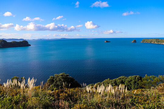 Cathedral Cove Walk In Neuseeland