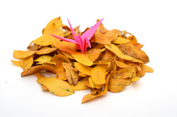 A pink origami bird on leaves