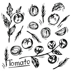 Fototapeta premium Hand-drawn tomatoes set in a graphic style. Tomatoes on a branch, tomato slices and whole tomatoes isolated on a white background. Vector.