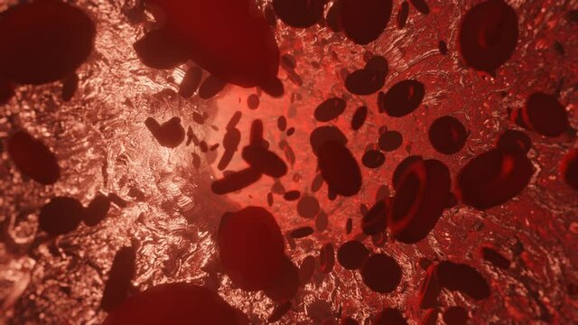 Red blood cells. Erythrocyte 3D rendering illustration. 