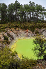 Thermalquellen in Rotorua, Neuseeland 