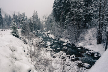 Snow covered river in snowfall. Washington, USA