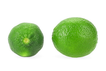 Lime. Citrus lime fruit isolated on a white background. Fresh lime.