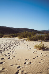Chia beach, sandy beach in Sardinia, south coast, Italy