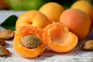 Fresh whole apricots and a half with seed on a white wooden table against the background of the garden close-up