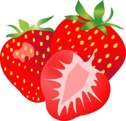 Red strawberries. Color image of food. Vector illustration isolated on white background.
