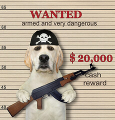 A dog criminal in a bandana holds an assault rifle. He is wanted. Lineup beige background.