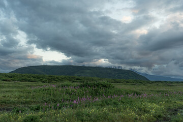 Sopka at dawn, near Khalaktyrsky beach, Kamchatka