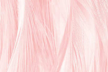 Coral pink vintage,feather pattern texture background