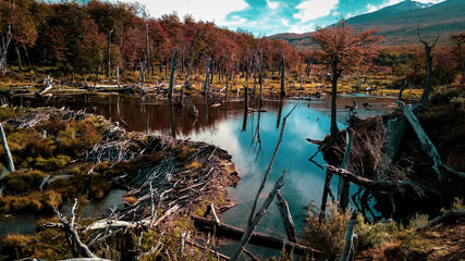 Castoteras del fin del mundo (Tierra del Fuego, Argentina)