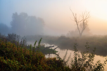 Jesień w Dolinie Górnej Narwi, Podlasie, Polska