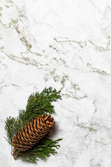 Christmas image/background.Pinophyta, brown pinecone with tree leaves and red fruits on white marble.