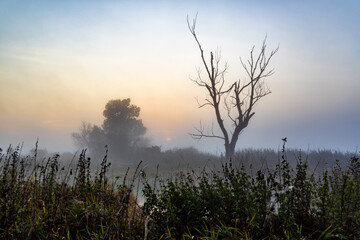 Jesień w Dolinie Górnej Narwi, Podlasie, Polska